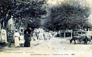 Zemmorah - Avenue des Flittas - 1907